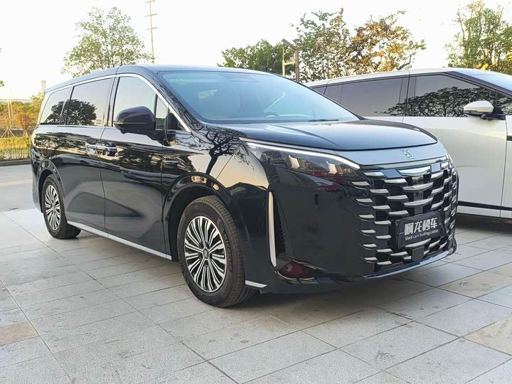 BYD Xia 2025 2025款 DM-i 1.5T 180km 卓越型