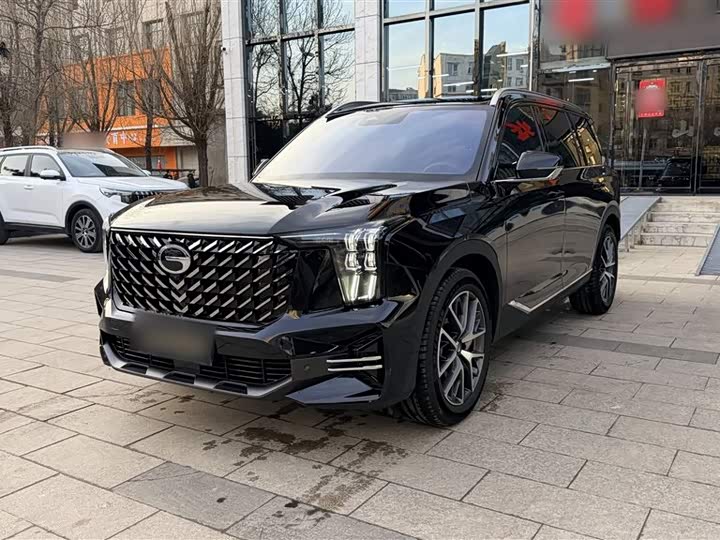 GAC Trumpchi GS8 2025 2025款 领航系列 2.0TGDI 两驱豪华版 5座