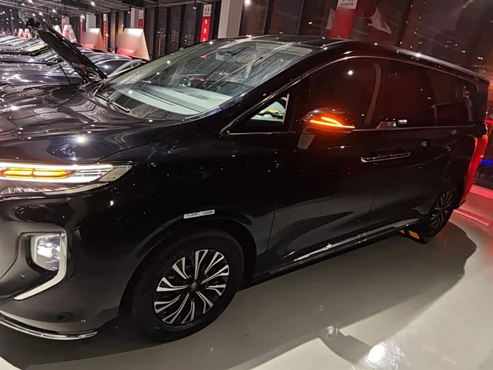 Hongqi HQ9 Hybrid 2024 2024款 2.0T 四驱商务版