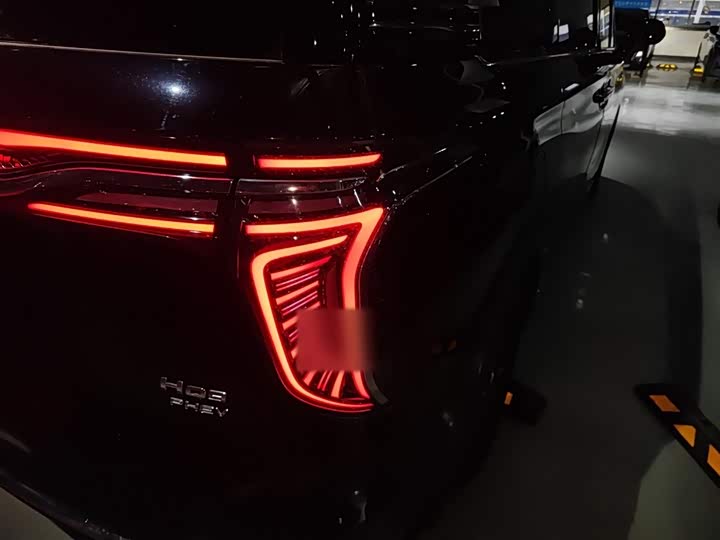 Hongqi HQ9 Hybrid 2024 2024款 2.0T 四驱商务版