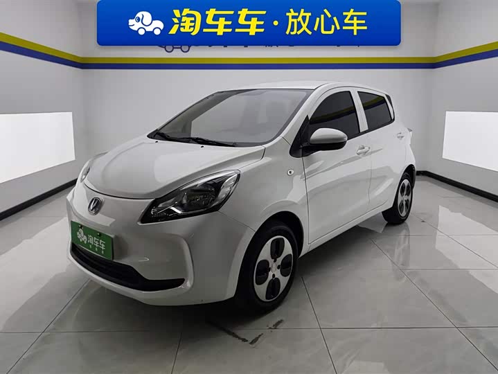 Changan BenBen E-Star 2021 2021款 国民版 心悦版 三元锂