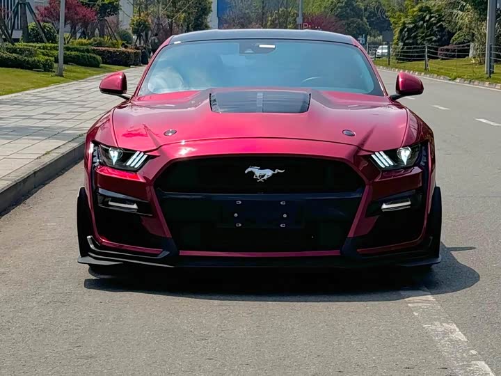Ford Mustang 2021 2021款 2.3T EcoBoost 黑曜魅影特别版