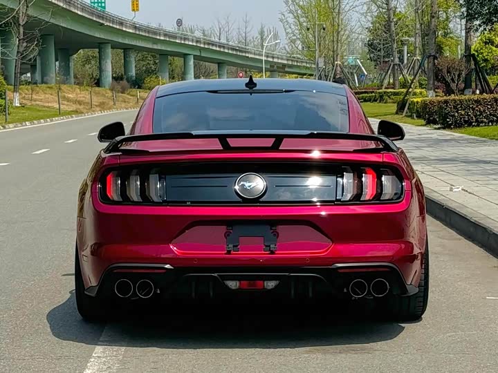 Ford Mustang 2021 2021款 2.3T EcoBoost 黑曜魅影特别版