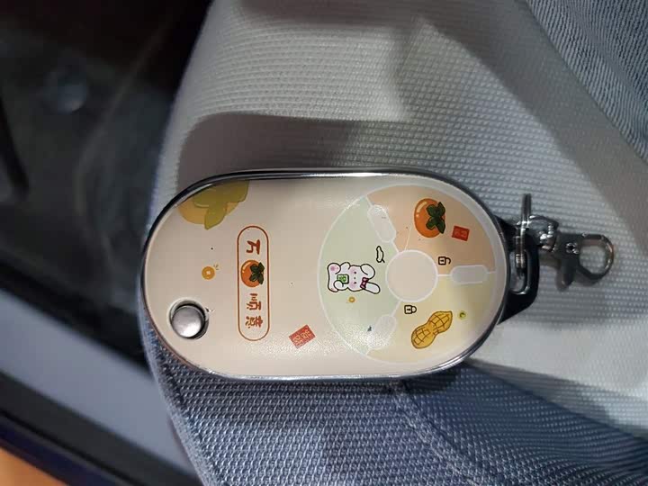 Bestune Pony 2025 2025款 222km 闪电马