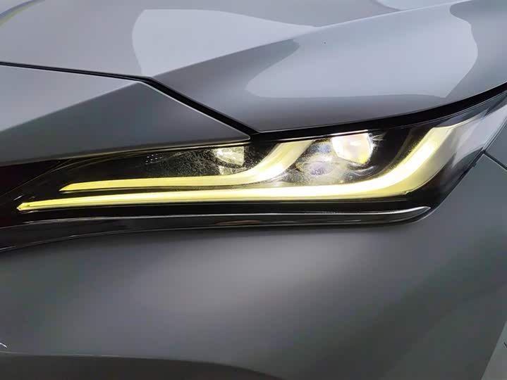 Toyota Harrier 2022 2022款 2.0L CVT两驱尊享版