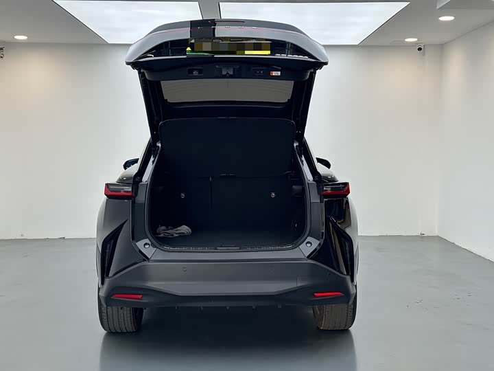 Lexus RZ 2023 2023款 450e 四驱纵享版