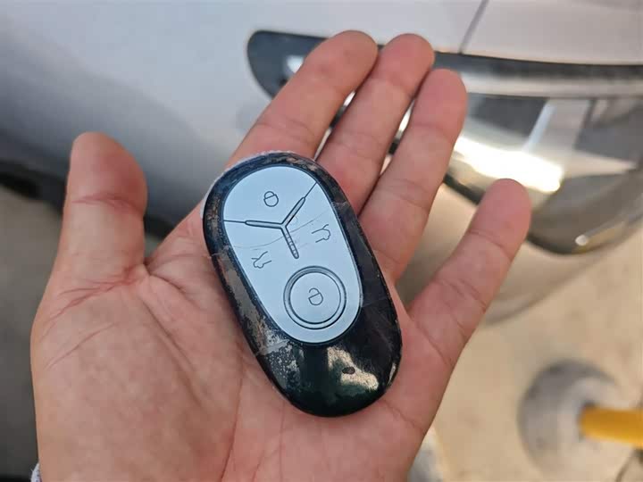 Geely Galaxy Geome 2026 2026款 310km 青春版