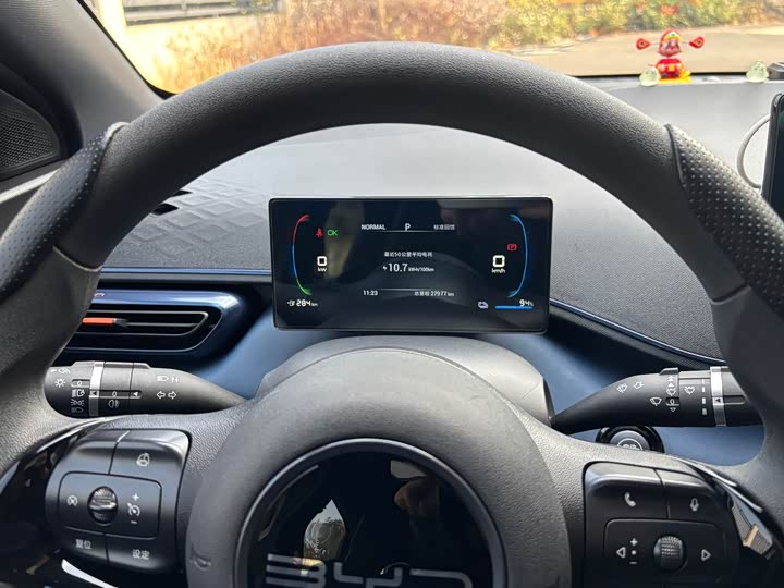 BYD Seagull 2025 2025款 305km 活力版