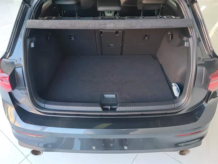 Volkswagen Golf GTI 2023 2023款 380TSI DSG GTI