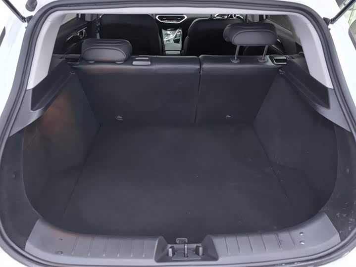 Geely Geometry C 2021 2021款 C400 立方版