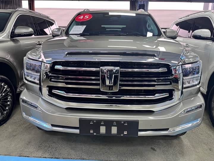 Tank 500 Hybrid 2025 2025款 Hi4-Z