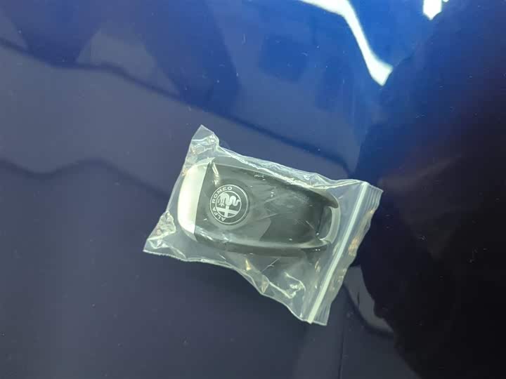 Alfa Romeo Giulia 2020 2020款 2.0T 280HP VIRTU限量版