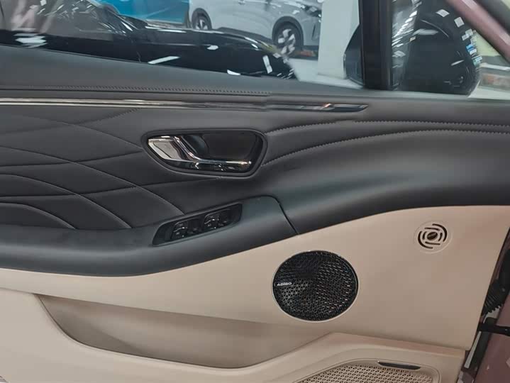 GAC Aion RT 2025 2025款 520智享版