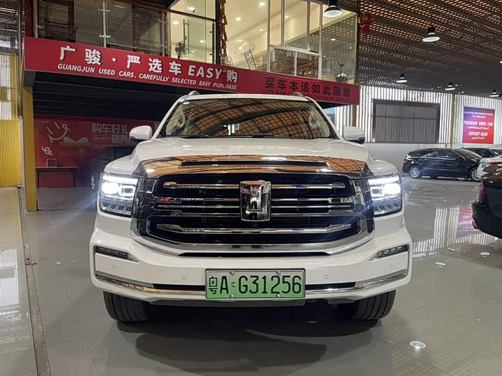 Tank 500 Hybrid 2025 2025款 Hi4-Z