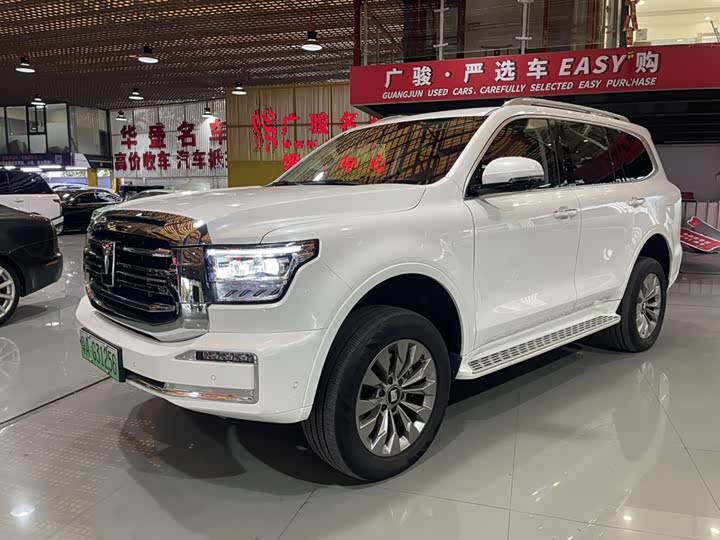 Tank 500 Hybrid 2025 2025款 Hi4-Z