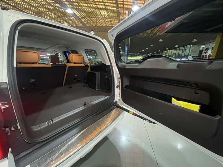 Tank 500 Hybrid 2025 2025款 Hi4-Z