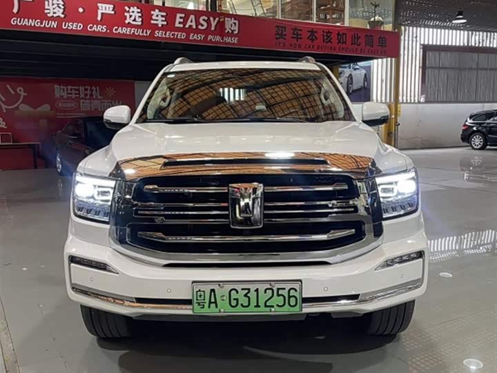 Tank 500 Hybrid 2025 2025款 Hi4-Z