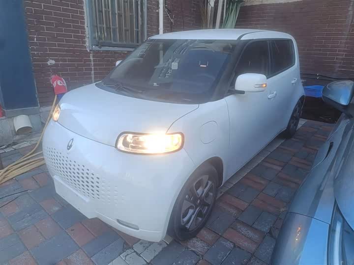 Ora White Cat 2020 2020款 305km 豪华型