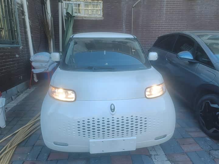 Ora White Cat 2020 2020款 305km 豪华型