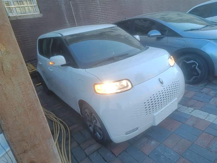 Ora White Cat 2020 2020款 305km 豪华型