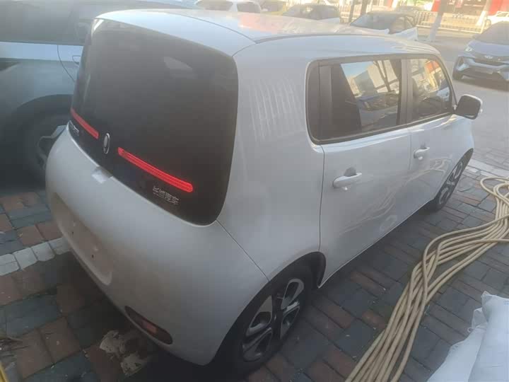 Ora White Cat 2020 2020款 305km 豪华型