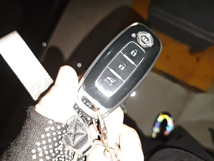 Nissan Teana 2022 2022款 2.0L XL-Upr 优享版