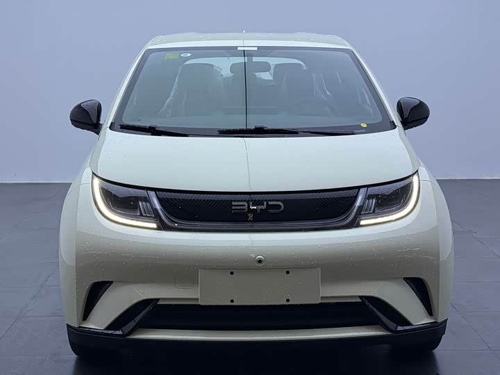 BYD Dolphin 2025 2025款 420km 自由版