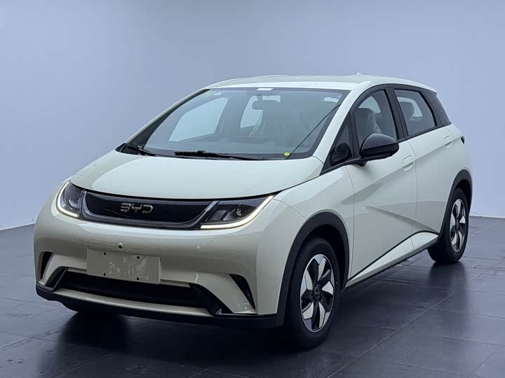 BYD Dolphin 2025 2025款 420km 自由版