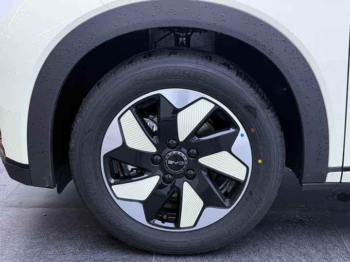 BYD Dolphin 2025 2025款 420km 自由版