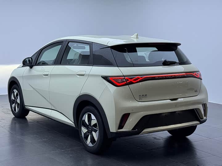 BYD Dolphin 2025 2025款 420km 自由版