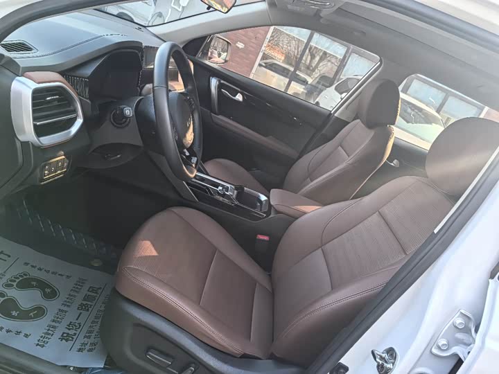 Kia Sportage GT-line 2021 2021款 Ace 2.0L 精彩版