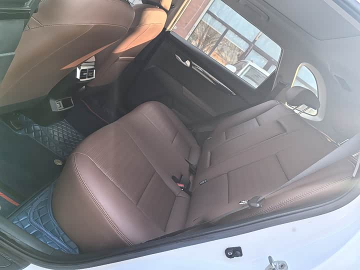 Kia Sportage GT-line 2021 2021款 Ace 2.0L 精彩版