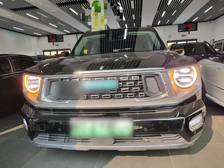 2024 Haval H-Dog Hybrid