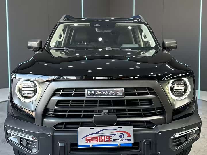 Haval Dargo 2024 2024款 2.0T DCT中华田园犬版