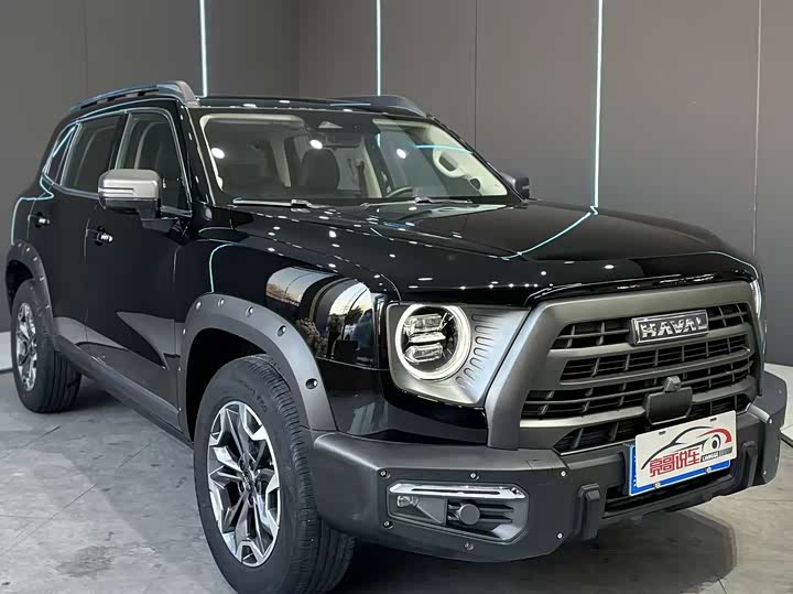 Haval Dargo 2024 2024款 2.0T DCT中华田园犬版
