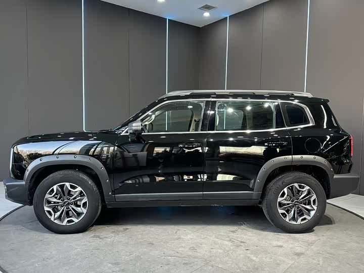 Haval Dargo 2024 2024款 2.0T DCT中华田园犬版