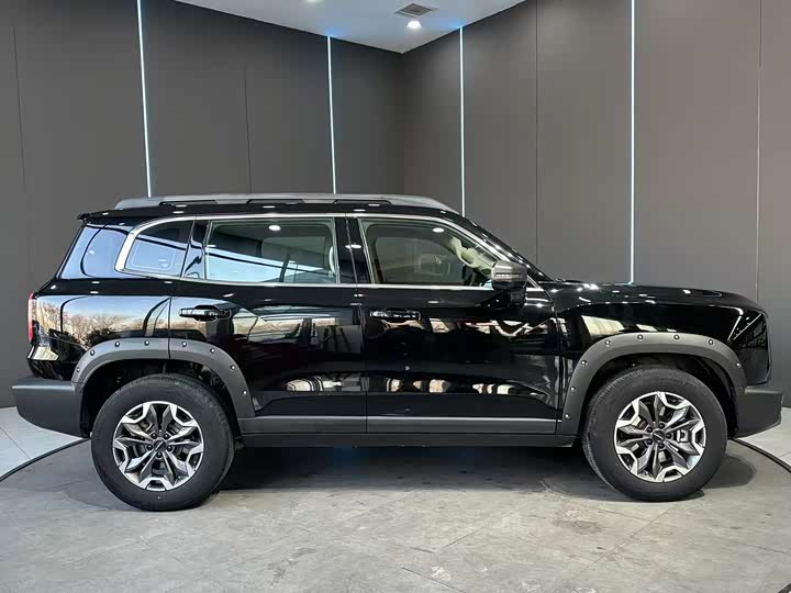 Haval Dargo 2024 2024款 2.0T DCT中华田园犬版