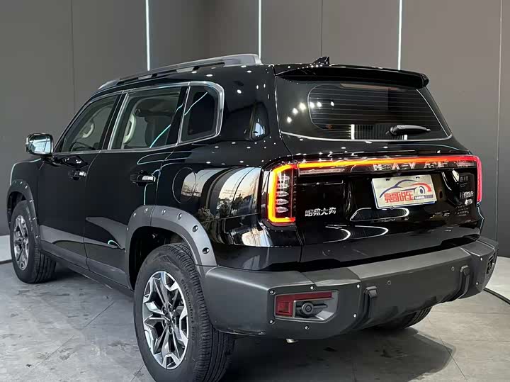 Haval Dargo 2024 2024款 2.0T DCT中华田园犬版