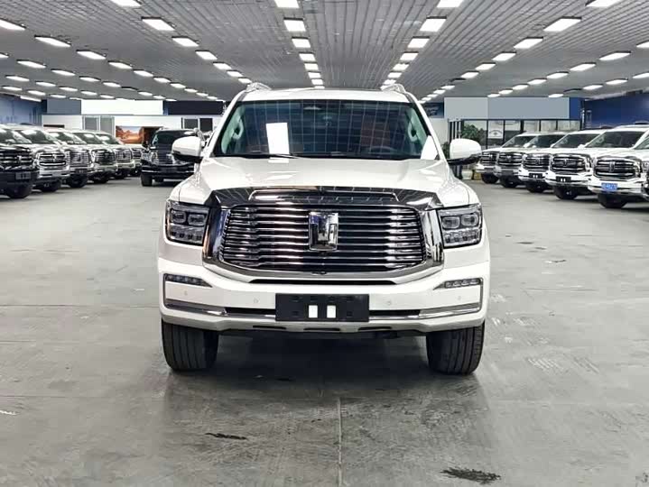 Tank 500 Hybrid 2025 2025款 Hi4-Z