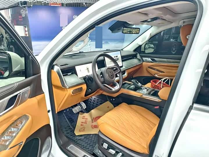 Tank 500 Hybrid 2025 2025款 Hi4-Z