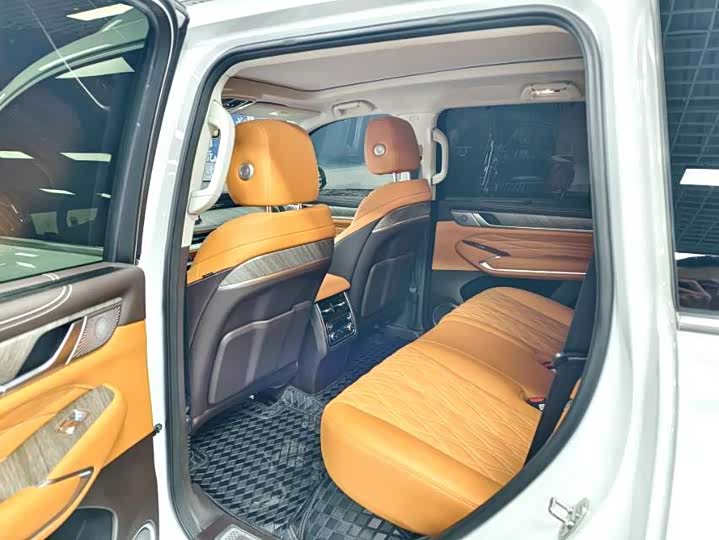 Tank 500 Hybrid 2025 2025款 Hi4-Z