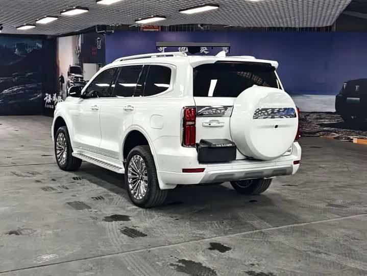 Tank 500 Hybrid 2025 2025款 Hi4-Z