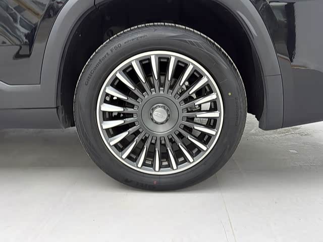 Geely Okavango L 2025 2025款 2.0T DCT尊享款