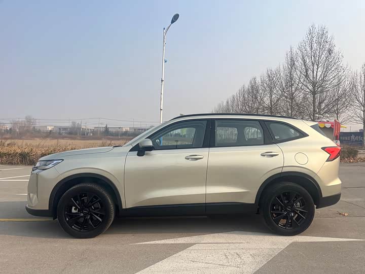Haval H6 2024 2024款 1.5T 两驱Ultra