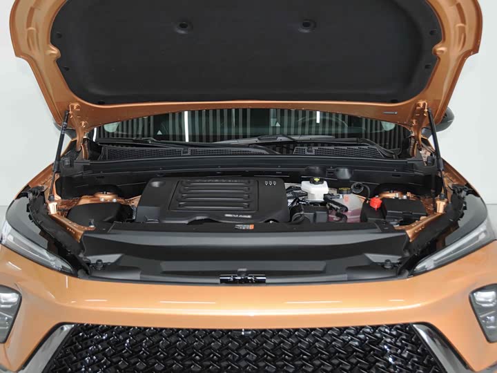 Buick Envision Plus 2024 2024款 昂科威S 25T 炫黑风尚版