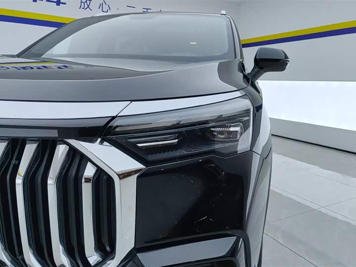 Geely Okavango L 2024 2024款 2.0T DCT尊贵型