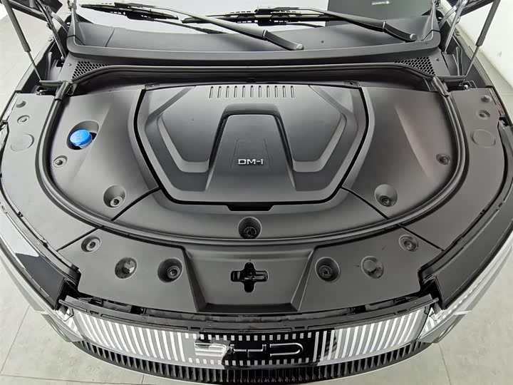 BYD Frigate 07 2023 2023款 DM-i 100KM 豪华型