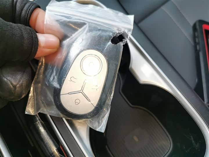 Geely Galaxy Geome 2026 2026款 410km 自在版