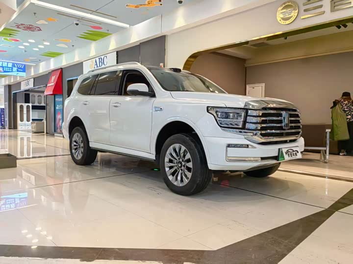 Tank 500 Hybrid 2026 2026款 Hi4-T 智享版