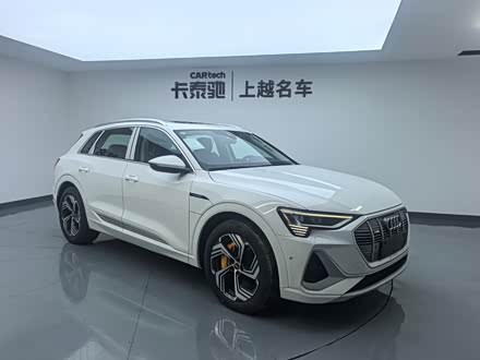 Audi e-tron 2021 2021款 50 quattro 豪华型
